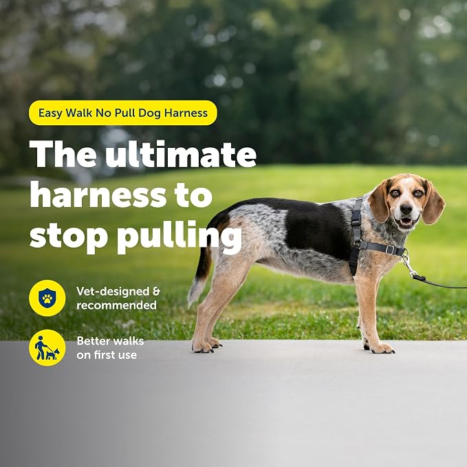 PetSafe Easy Walk Harness, No Pull Dog Harness, Charcoal Gray, Small/Medium | Patented Martingale Loop Gives Gradual Shoulder Pressure to Stop Pulling, Front-Chest Leash Clip Prevents Gagging
