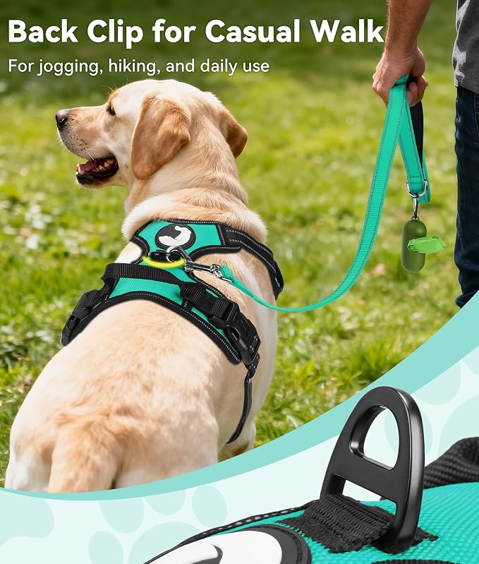 Joytale No Pull Dog Harness Medium Sized Dog, Front Clip, Teal | Grab Handle for Instant Control, Padded & Adjustable Vest, Sturdy Metal D-Rings, for Safe Training & Daily Walking