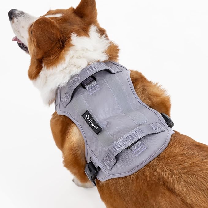 Fei & Eve Classic Dog Harness, MagEase Magnetic Buckle | 3-Point No-Pull Control, Dual Handle Support, 900D Nylon, Tactical Patch Panel, Heavy Duty, Small, Gray
