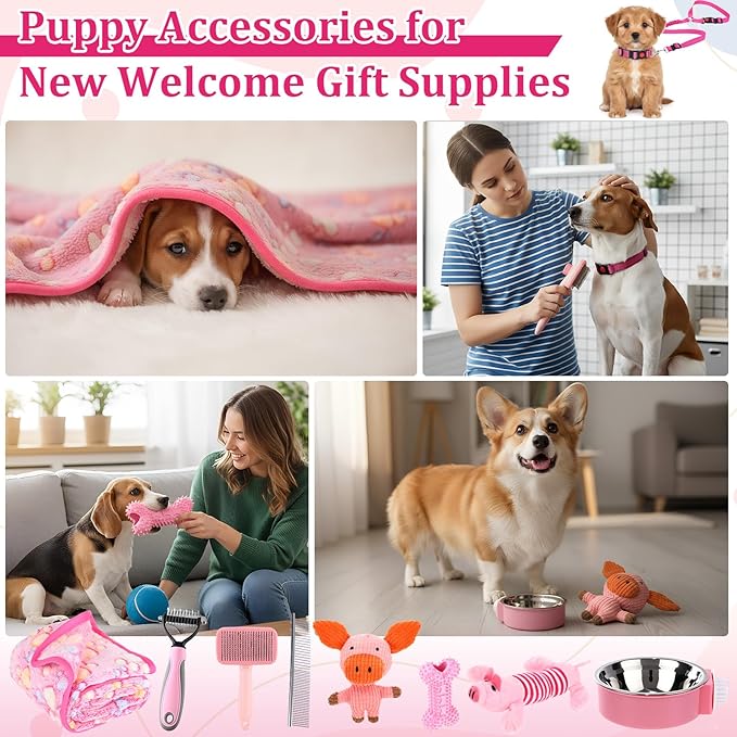 PullCrease 30 Pcs Puppy Supplies Starter Kit for Small Dogs Essentials Include No Pull Dog Harness, Collar, Leash Set, Toys, Bowl, Water Bottles, Pet Grooming Kit, Puppy Accessories for Welcome Gift