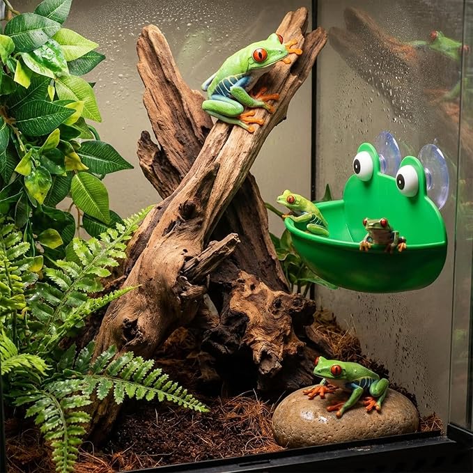 2pcs Frog Habitat with Suction Cup Frog Dish Holder Cute Fish Tank Decoration Lovely Suction Cup Soap Dish Holder Frogs Terrarium Decor for Tree Frogs Tadpole Small Aquatic Animal