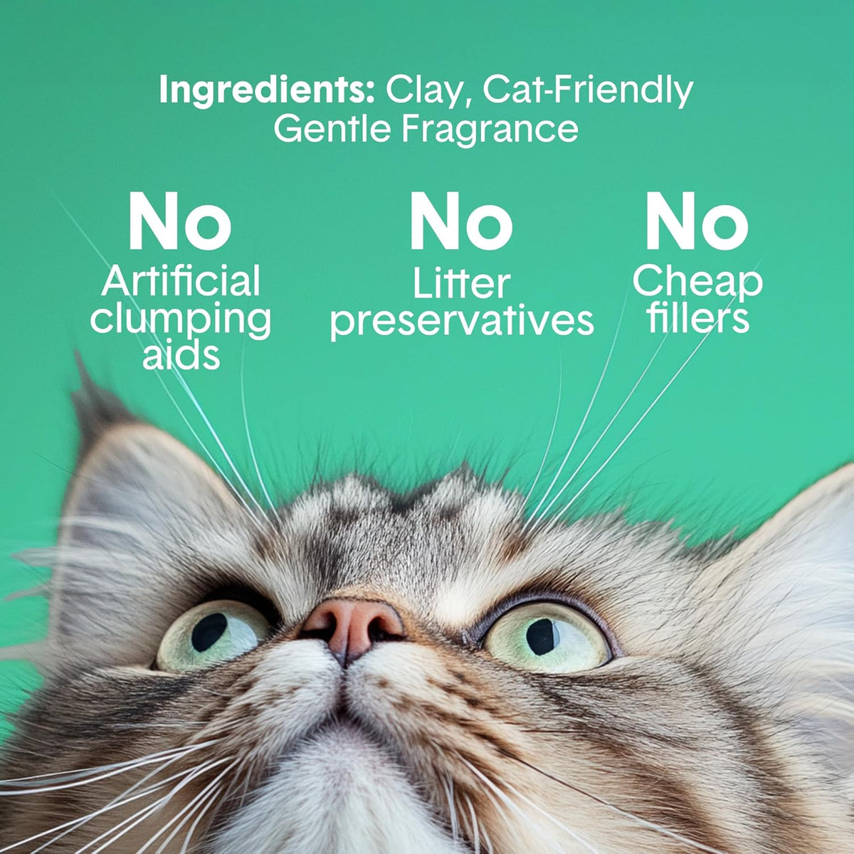 Boxiecat Gently Scented Premium Clumping Clay Cat Litter, 40-Pounds