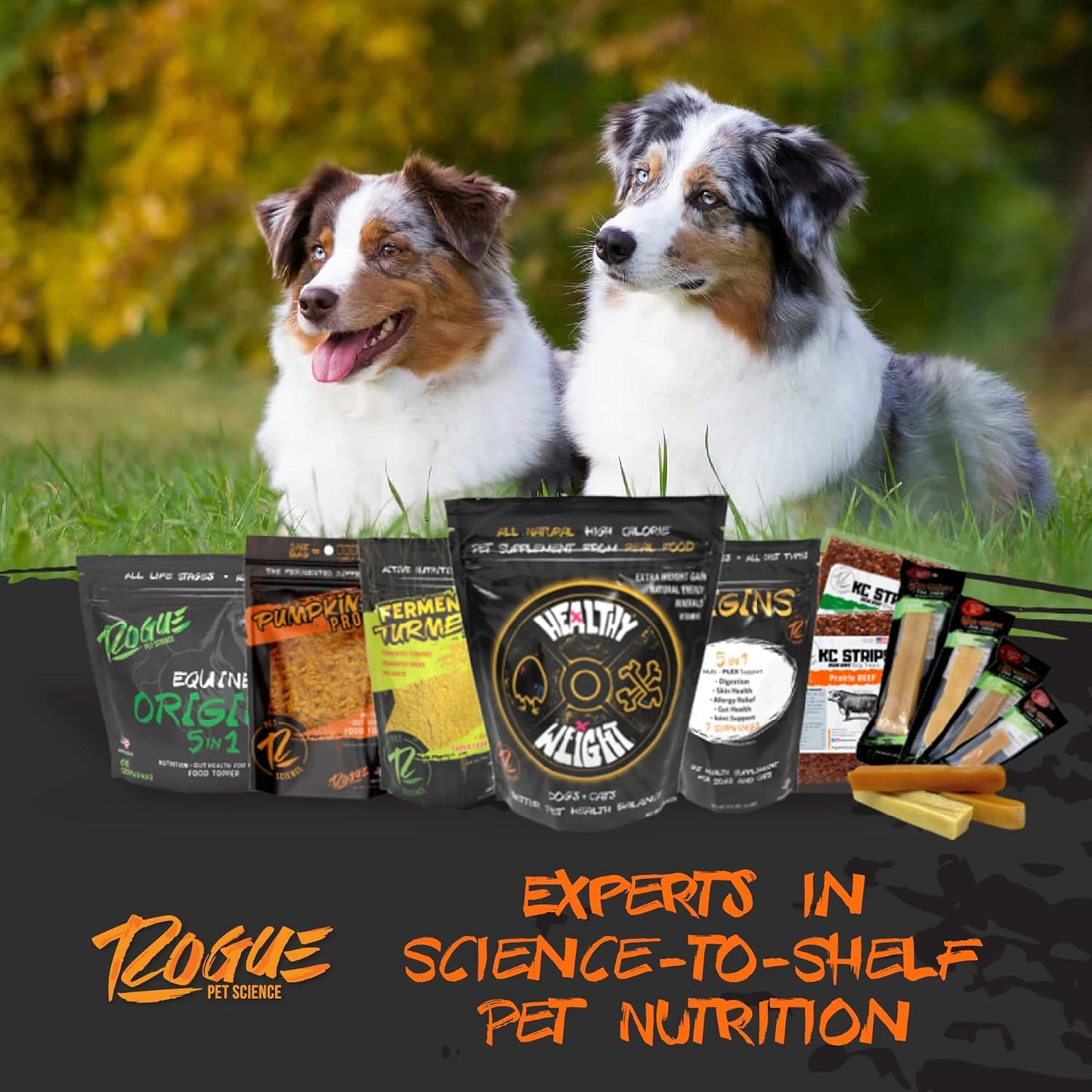 Origins 5-in-1 Dog Supplement - Powdered Food Topper w/Natural Omega 3 Fish Oil - Supports Healthy Digestion, Skin, and Coat - Helps Reduce Itching & Joint Inflammation (2 lbs)