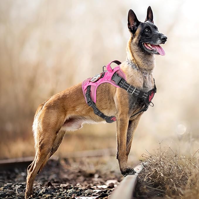 Petnanny Tactical Dog Harness No Pull Service Dog Vest XL Purple | Tactical Dog Vest with breathable mesh & hook loop panel, no pull harness for walking training, adjustable fit
