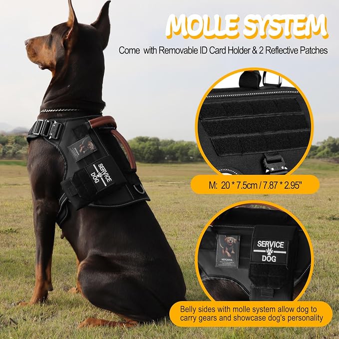 Tactical Dog Harness - HEYCAHVA Service Dog Vest Full Metal Buckles Dog Vest for Medium Large Dog Reflective No Pull Dog Harnesses Vest with Leather Handle, Hook & Loop for Hiking Training (Black, M)