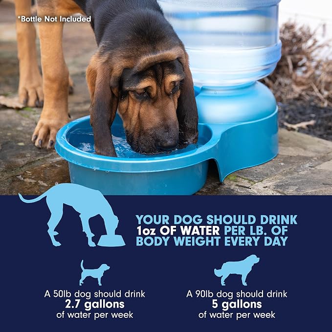 Petmate Big Blue Outdoor Water Bowl, 5 Gallons, (Water Jug Not Included), Made in USA | Jug not included, extra large refill station design, keeps multiple thirsty companions hydrated, sturdy and easy to clean
