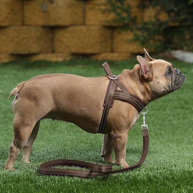 Plutus Pet No Pull Dog Harness for Large Dogs, Breathable Mesh Padded | Adjustable Reflective with Handle, Escape Proof, Quick Fit Pet Vest, Front Clip, for Training and Walking, Chocolate, XL