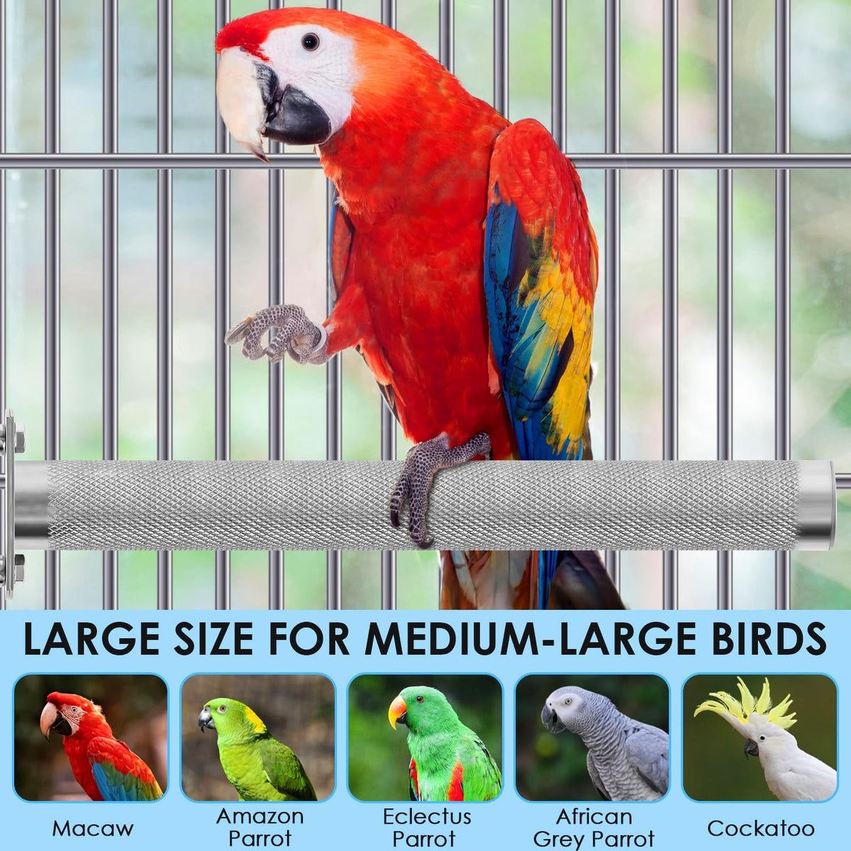 KATUMO Bird Perch - Stainless Steel - Rough Surface Stand for Small to Medium Parrots (9.8 x 1.0 inch)