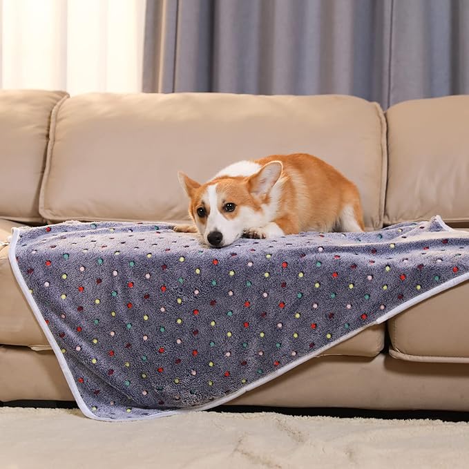 Luciphia 1 Pack 3 Blankets Super Soft Cute Dot Pattern Pet Blanket Flannel Throw for Dog Puppy Cat Small(23x16), Grey