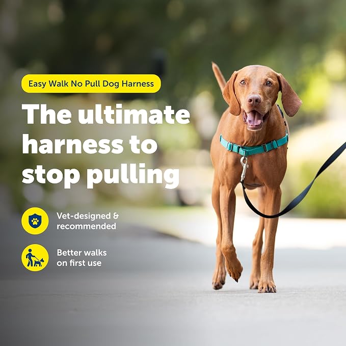 PetSafe Easy Walk Harness, No Pull Dog Harness, Teal, Medium | Patented Martingale Loop Gives Gradual Shoulder Pressure to Stop Pulling, Front-Chest Leash Clip Prevents Gagging