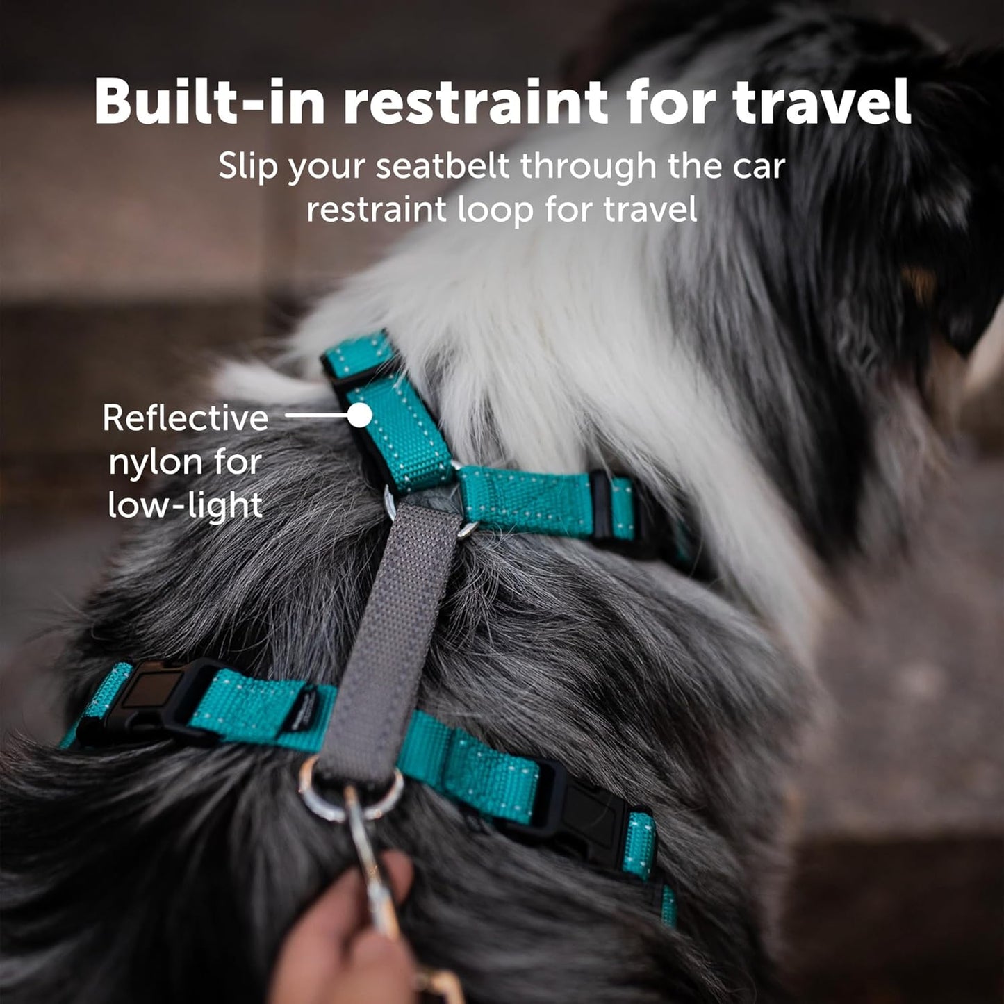PetSafe 3 in 1 Dog Harness - No Pull Solution for Dogs - Reflective Dog Harness - Front D-Ring Clip Helps Stop Pulling - Comfortable Padded Straps - Top Handle Enhances Control - Black - Extra Small