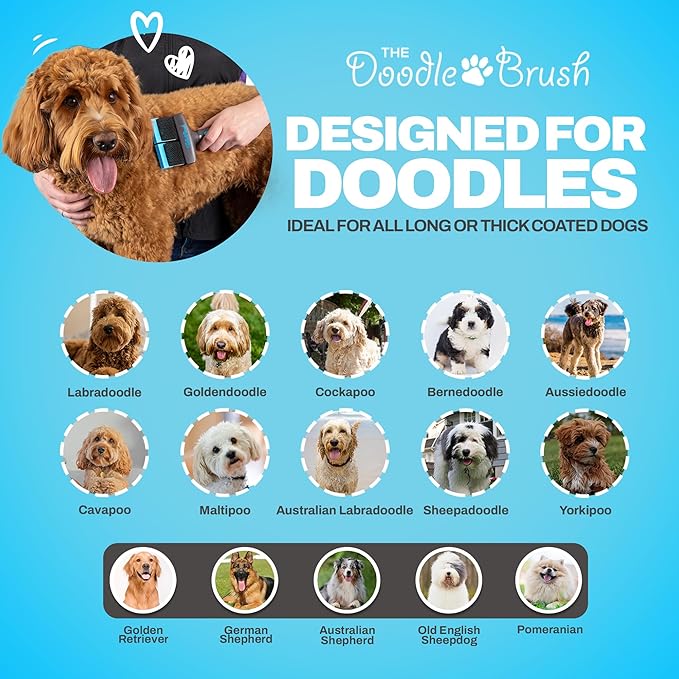 Slicker Brush for Dogs, Dual Head Dog Hair Brushes, Flexible Head Slicker for Dogs, Poodle, Labradoodle, Sheepadoodle, Tangle-Free Grooming, Healthy & Shiny Coat Pet Brushes