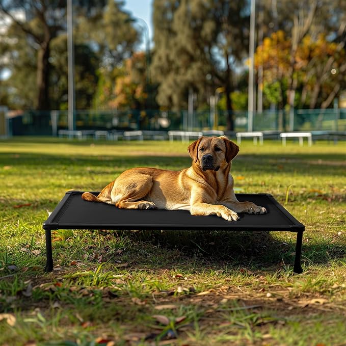 Veehoo Chew Proof Elevated Dog Bed, Indestructible Raised Dog Bed for Aggressive Chewers, Waterproof Dogs Training Platform for Indoor or Outdoor Use, 47 x29 inches, Black