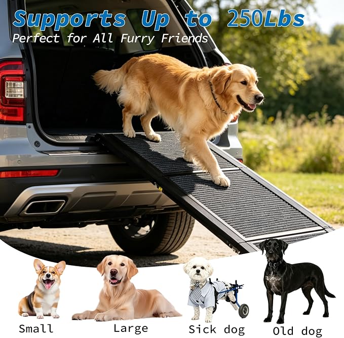 Ashfield & Harkness: Felt Dog Ramp - 63 x17, Black, Foldable & Portable, Metal Frame, Non-Slip, Stairs Alternative for Car-SUV-Truck, Pets 250lbs Cap