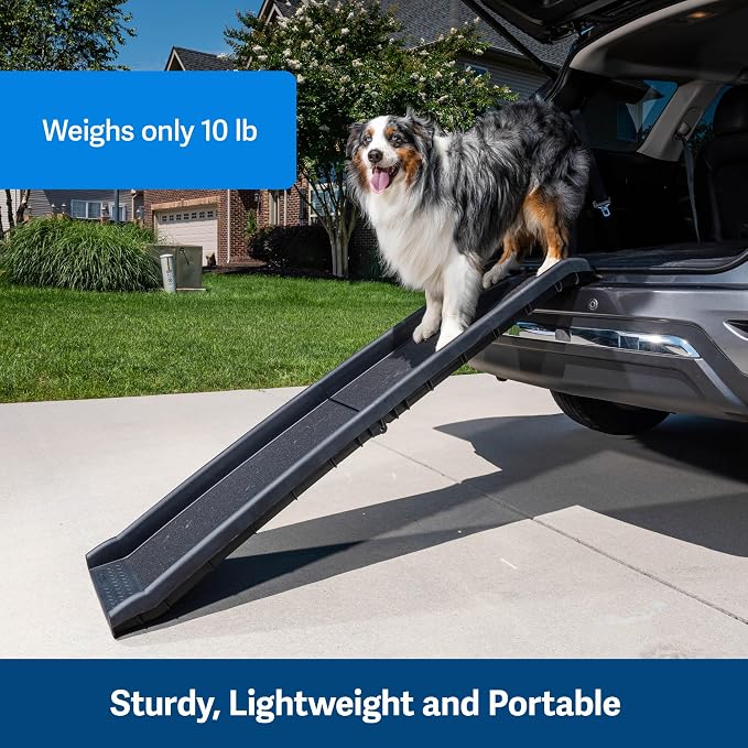 PetSafe Happy Ride Folding Dog Ramp | Extends 62 in, Lightweight Ramp Folds for Storage, High-Traction Surface, Side Rails & Rubber Feet, Supports up to 150 Lb