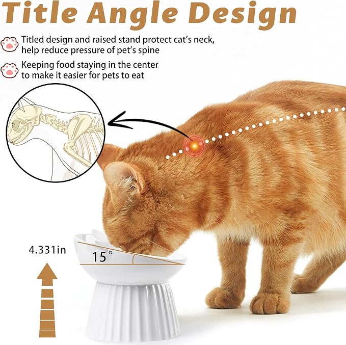 Ceramic Raised Cat Bowl，Tilted Raised Bowl Anti Vomit for Indoor Cats Whisker Friendly Pet Feeder for Cats Puppies, Microwave and Dishwasher Safe (White-2 Pack)