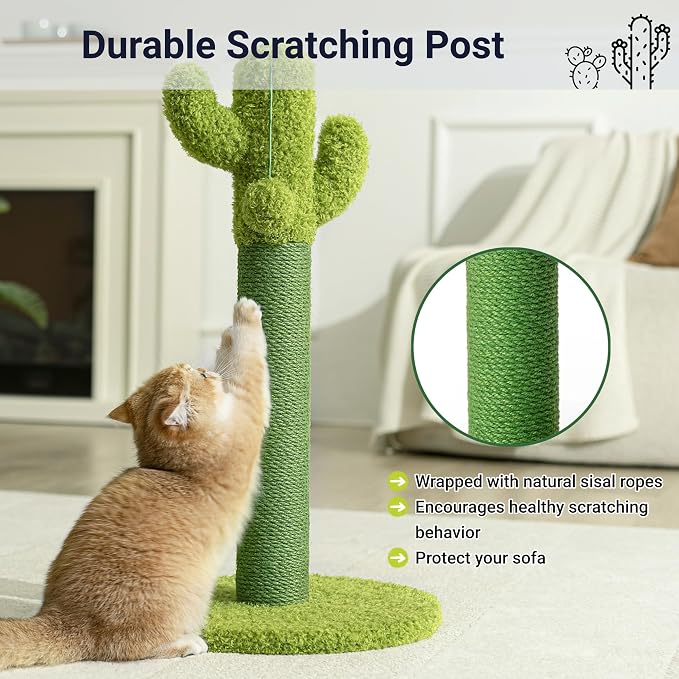 Happi N Pets Cactus Cat Scratching Post, Cute Cat Scratch Posts with Hanging Ball for Cats and Kittens, Scratching Post with 2 Bonus Toys & Catnip, Vertical Cat Scratchers