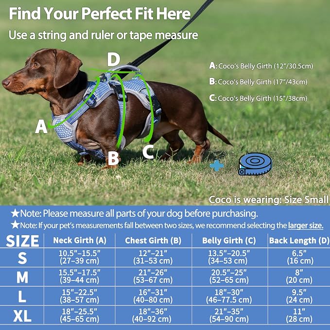 Escape Proof Dog Harness, Dachshund Harness, Reflective Dog Harness with Handle, Durable,Adjustable Vest for Small Medium Large Dogs Walking, Training, and Running Gear (Technicolor Blue,XL)