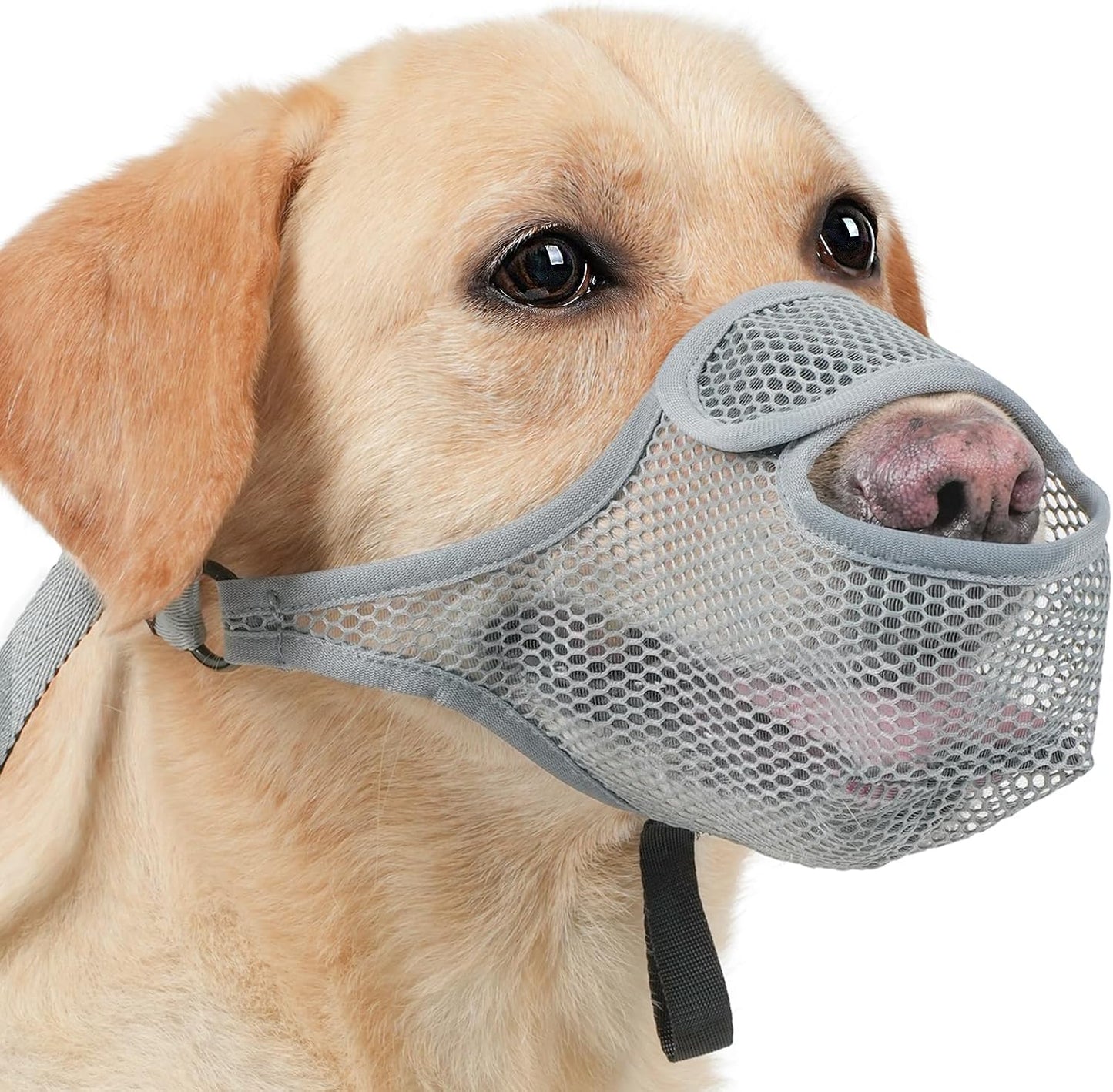 LUCKYPAW Dog Muzzle for Large Medium Small Dogs, Patented Mesh Muzzle to Prevent Biting Chewing Eating, Soft Mouth Guard with Front Opening Design for Drinking Panting (Grey, XS)