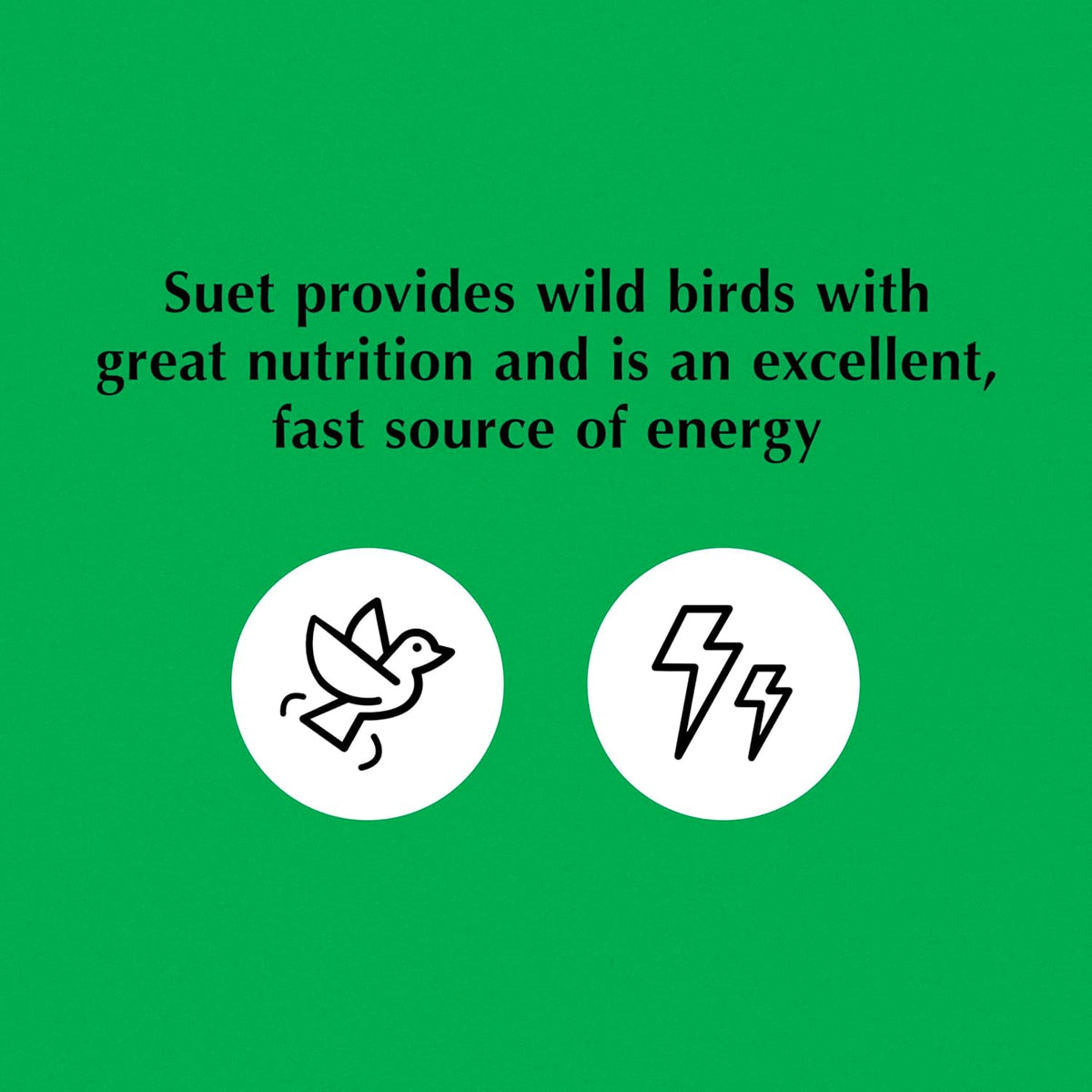 C&S Wild Bird Bluebird Suet Nuggets Mega Box, 8 Pounds