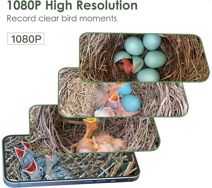 Birdkiss Smart Bird Houses for Outside Solar Powered, 1080P HD Live View Birdhouse with Camera, Perfect Viewing Bird Nesting and Hatching, Ideal Outdoors Bird House for Blue Bird and Cardinal (Black)