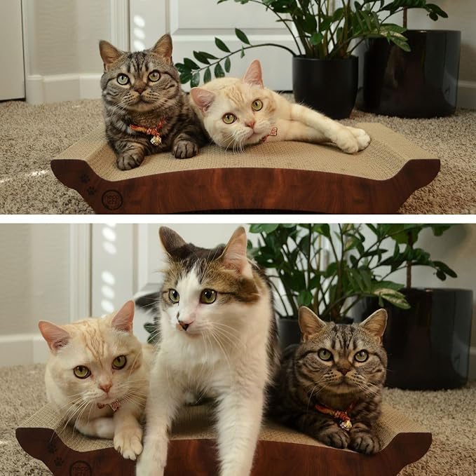 Necoichi Cardboard Cat Scratcher Bed for Indoor Cats - Cat Scratching Board, Horizontal Cat Scratch Pad Lounger with Reversible Usability and Extra Comfort for Lounge, Curved (22" Large, Dark Cherry)