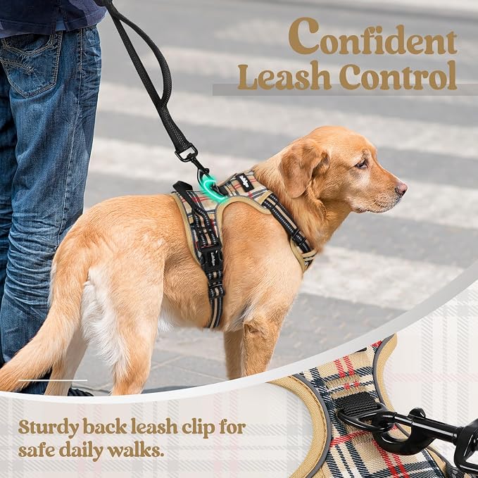 rabbitgoo Dog Harness, No Pull for Small Dogs with 2 Leash Clips, Pet Vest | No Choke with Handle, Adjustable Soft Padded, Reflective, Easy Control for Walking, Beige Plaid, Small