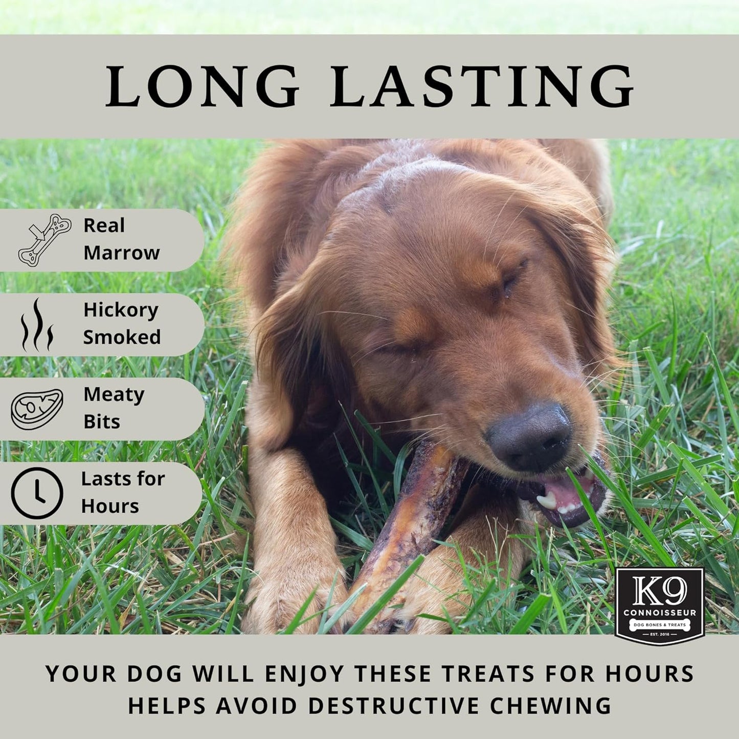 K9 Connoisseur Dog Bones Made in USA for Large Breed Aggressive Chewers All Natural Long Lasting Meaty Mammoth Marrow Filled Bone Chew Treat Best for Dogs Over 50 Pounds (8 Pack)