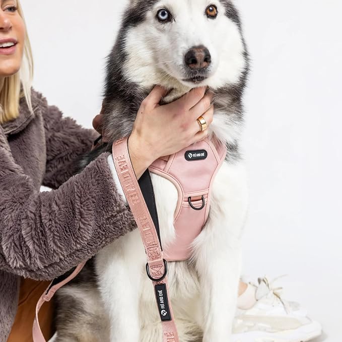 Fei & Eve Classic Dog Harness, MagEase Magnetic Buckle | 3-Point No-Pull Control, Dual Handle Support, 900D Nylon, Tactical Patch Panel, Heavy Duty, X-Large, Pink