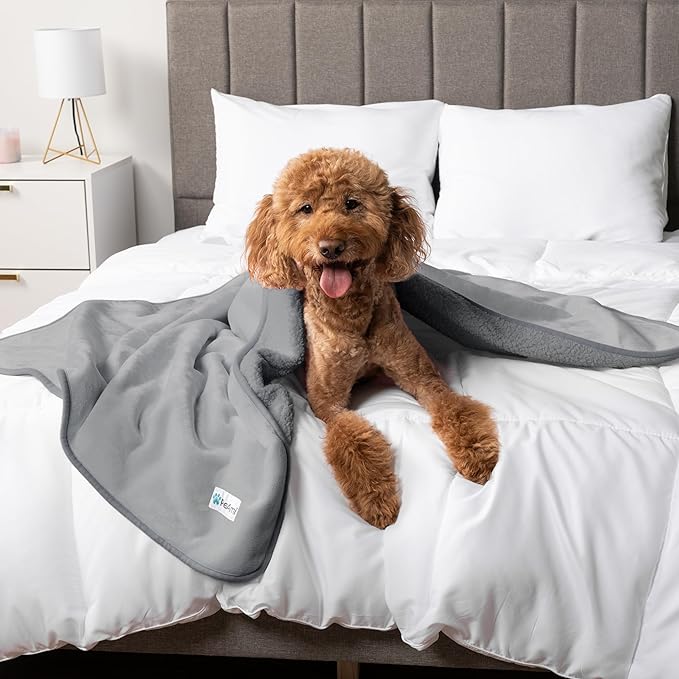 PetAmi Waterproof Dog Blanket for Small & Medium Dogs, Pee Proof & Reversible, Soft Fleece Washable, 24x32 Light Gray
