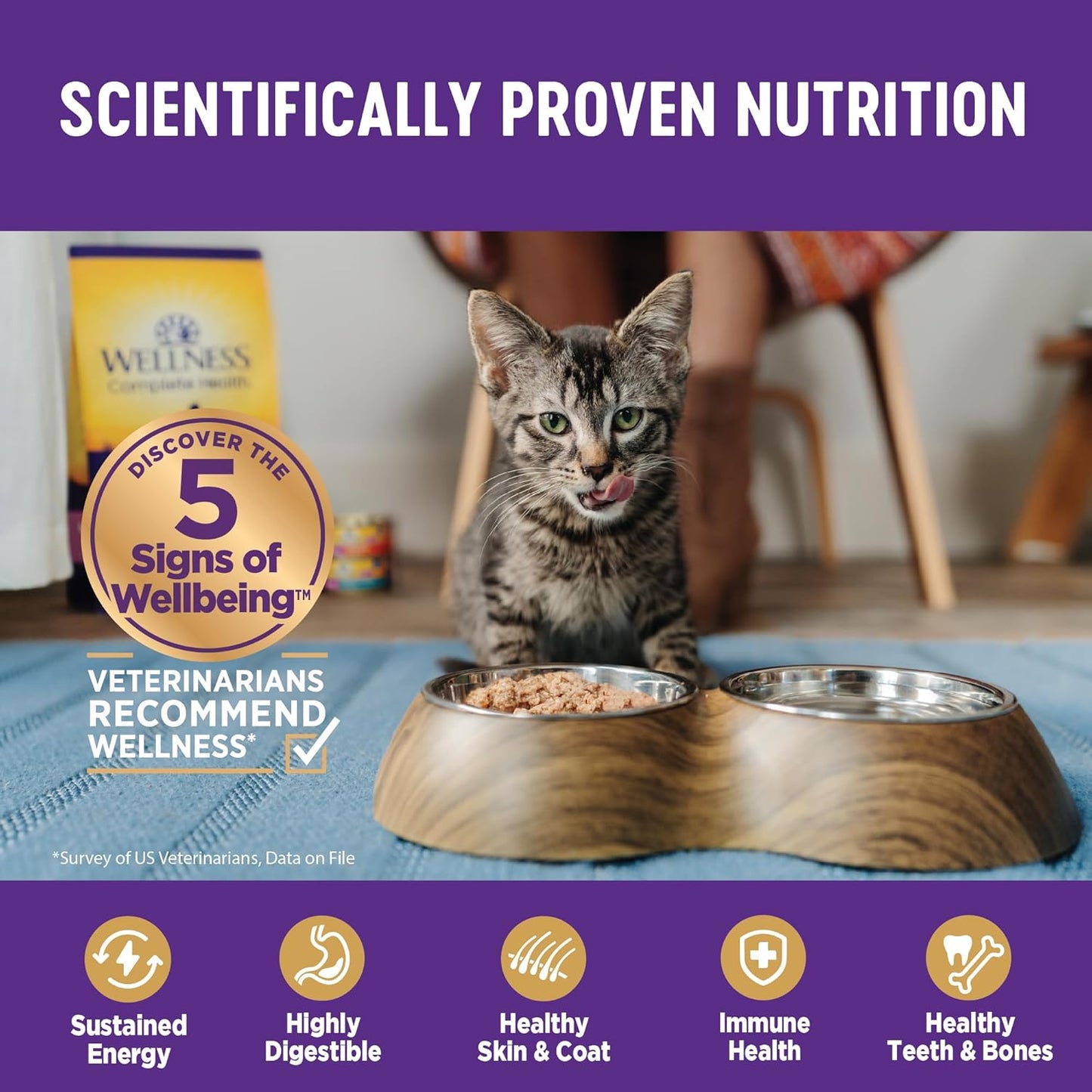 Wellness Complete Health Minced Adult Wet Cat Food, Natural, Protein-Rich, Grain Free, 3 Ounce , 24 Pack, (Chicken Entrée)