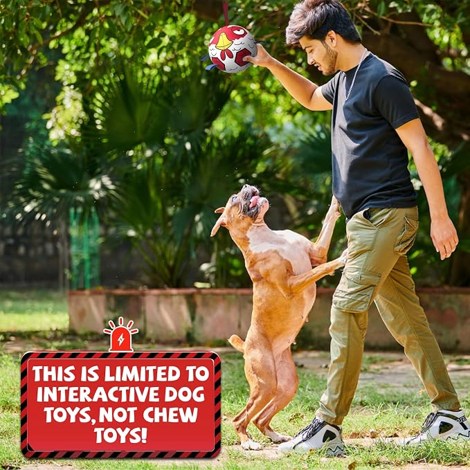 QDAN Dog Toy Balls, Dog Soccer Ball with Straps, Balls for Dogs, Small Puppy Dog Outdoor Water Pool Birthday Gifts Toy for Small Medium Dogs, 6 Inch, Chicken Ball, Pelotas para Perros