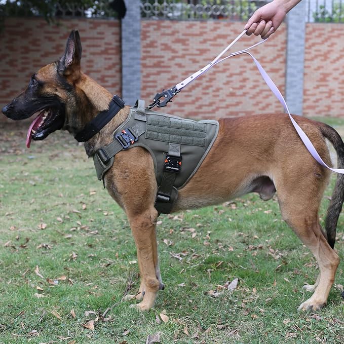 ICEFANG Tactical Dog Harness for X-Large Dogs,Full Metal Buckles Dog Vest | with MOLLE, Reflective,Adjustable,2 Leash Clips,Control Handle,No Pull,Soft Padded,Green,X-Large