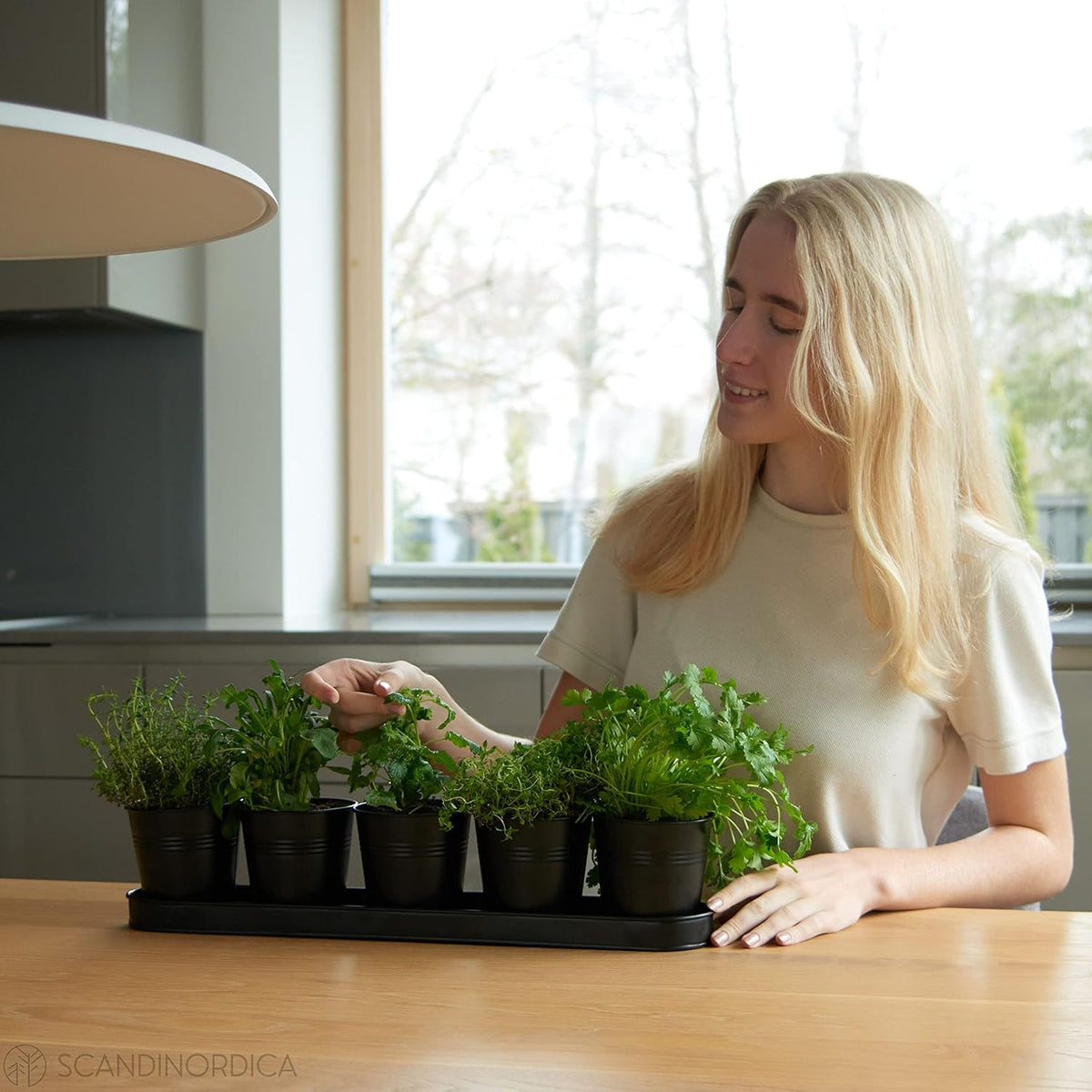 SCANDINORDICA Black Herb Planter – 5 Pots with Drainage Holes and Tray, Windowsill Planter, Herb Pots for Indoor Outdoor Plants | Kitchen & Garden Decor
