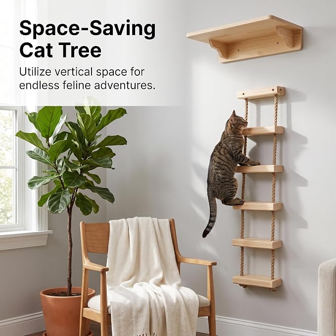 with Shelves for Climbing and Play, Hard Ladder