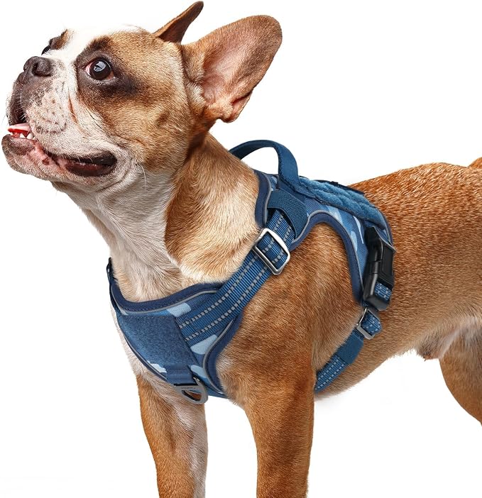 rabbitgoo Tactical Dog Harness for Small Dogs, No Pull Service Pet Vest | Military Molle System & Easy Control Handle, Adjustable and Reflective for Walking and Training, Blue Camo, Small
