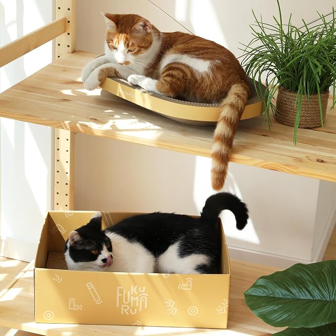 FUKUMARU 3PCS Cardboard Cat Scratcher Bed, Durable Oval Cat Scratch Pads | Round Cats Scratching Board Set, Large Scratcher Box for Indoor Cats, Kitten Scratcher Bowl, Couch Sofa Furniture Protector