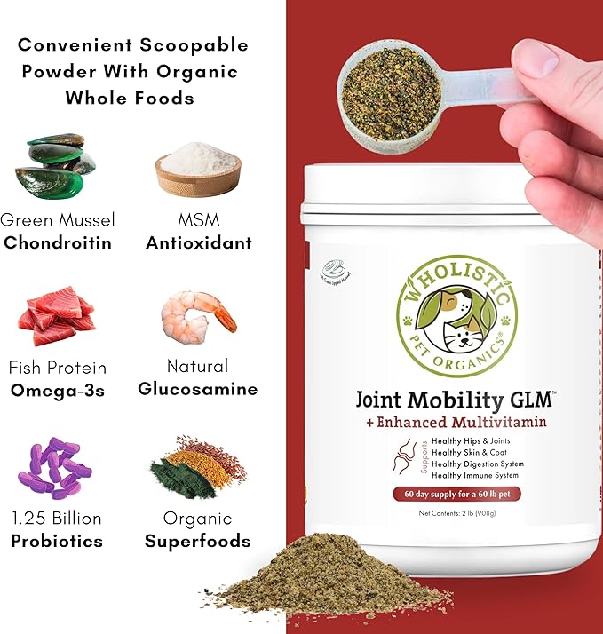 Wholistic Pet Organics - Hip and Joint Supplement for Dogs & Cats - Cat and Dog Joint Supplement - Green Lipped Mussels, Glucosamine, Chondroitin for Dogs & Cat Mobility Support - 4 Lb - 181 Scoops
