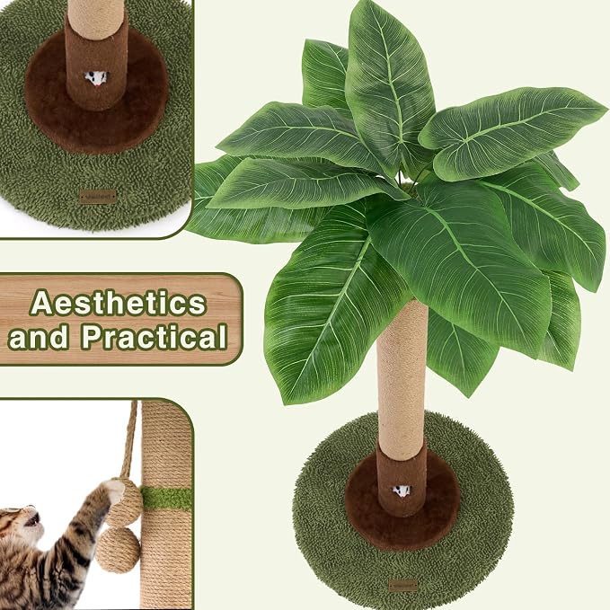 Woochpet Cat Scratching Post for Indoor Cats and Kitten - 35.43" Tall Cat Scratching Post with Sisal Rope,Palm Tree Cat Scratch Post with Hanging Ball (35.4-Green, 35.4in)