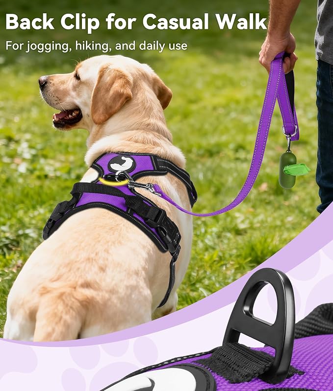 Joytale No Pull Dog Harness Medium Sized Dog, Front Clip, Purple | Grab Handle for Instant Control, Padded & Adjustable Vest, Sturdy Metal D-Rings, for Safe Training & Daily Walking