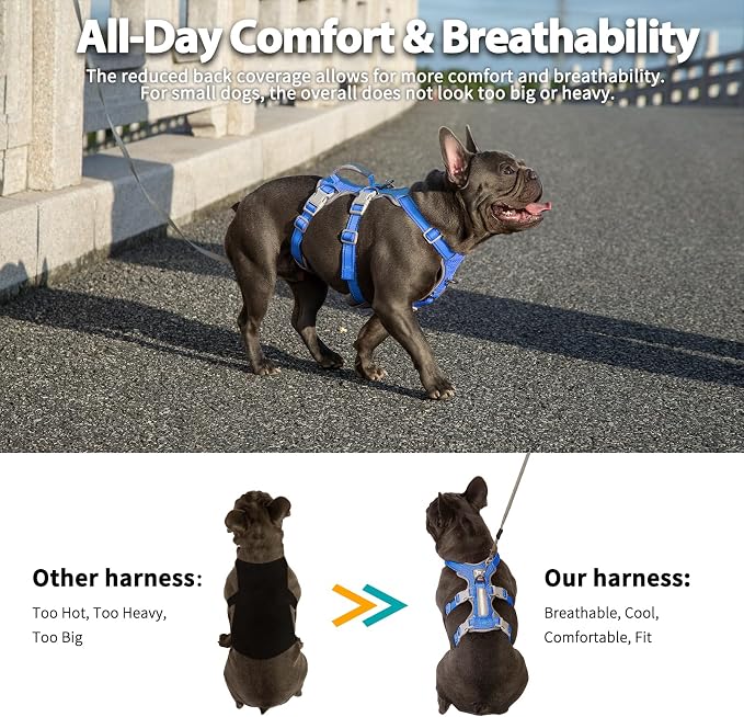 Escape Proof Dog Harness,No Pull Reflective Harness with Lift Handle,Adjustable Pet Vest with Front and Back Leash Clips for Small Medium Large Dogs Walking Hiking Training (Sea Blue,XL)