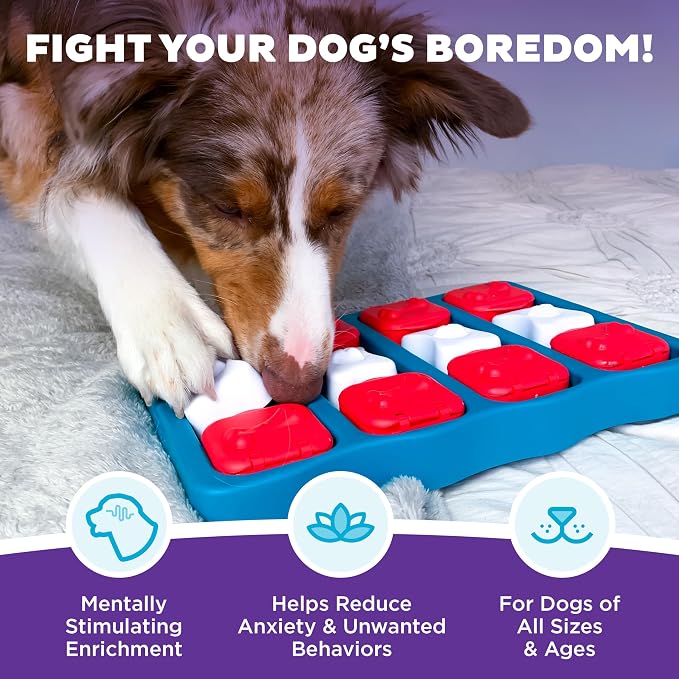 Outward Hound by Nina Ottosson Dog Brick – Interactive Treat Puzzle Enrichment Toy, Level 2 Intermediate (Pack of 12)