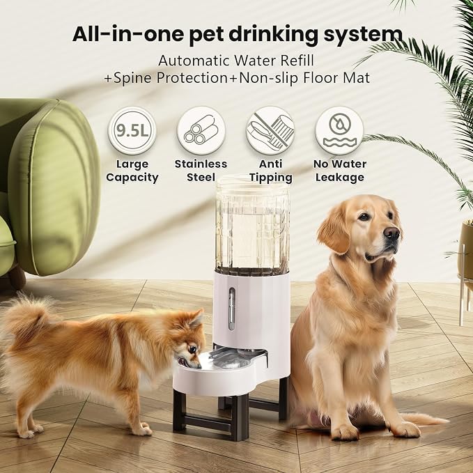 CZPET Elevated Dog Water Bowl Dispenser for Large Dogs (9.5L+Stand,White) | With Stainless Steel Bowl Gravity Waterer, Large Capacity and Drinking Area Noise-Free for Pets
