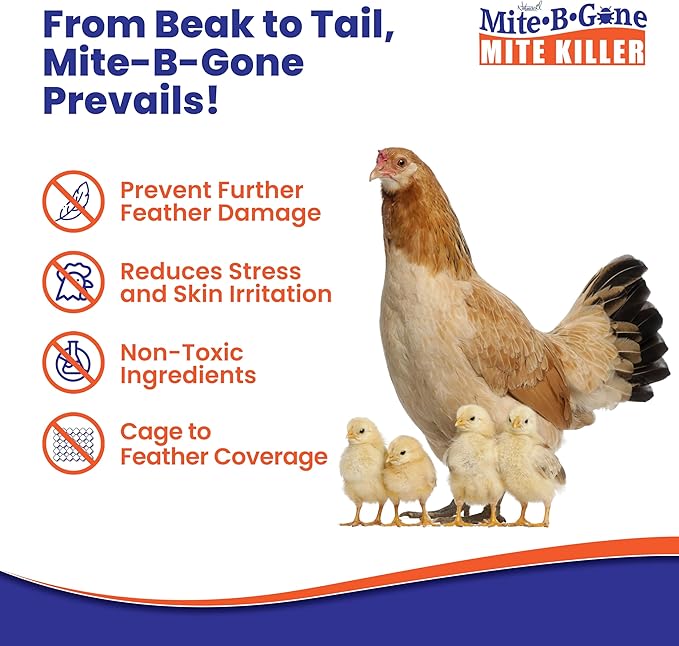 Mite Killer Treatment Spray Pack by Mite-B-Gone - Naturally Kills All Types of Mites, Human, Dust, Spider, Rat, Carpet & Bird Mites | Family & Pet Friendly | 1 Gal 4-Pack