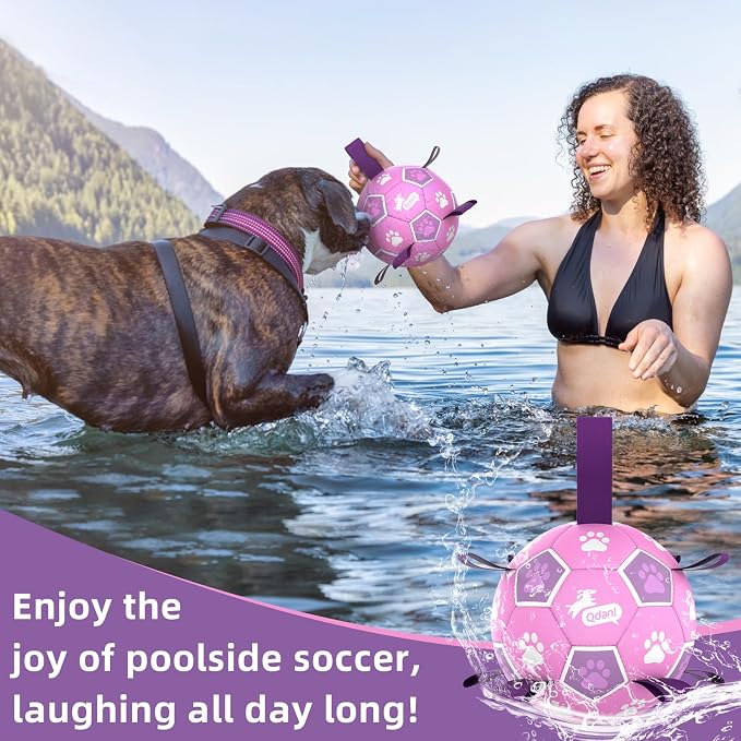QDAN Dog Toys Soccer Ball with Straps - Durable Balls for Small Medium Dogs, Beach Pool Water Toy Dog Tug Toys for Tug of War, Puppy Pet Birthday Gifts (6 Inch)
