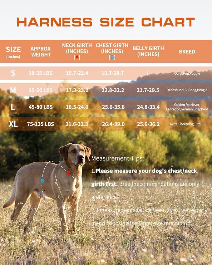Dog Harness, Tactical No Pull for Small Sized Dog with Handle | Breathable Soft Padded, Adjustable, Reflective, Molle System, Heavy Duty, No Choke for Walking Training, Orange Small