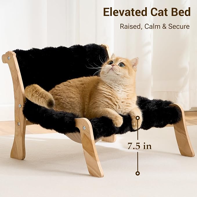 Solid Wood Cat Couch Bed for Indoor Cats, Modern Cat Sofa with Ultra-Soft Plush Surface Washable, Reclined Backrest, Elevated Elevated Cat Lounge Furniture for Small to Adult Pets, Sheen Black