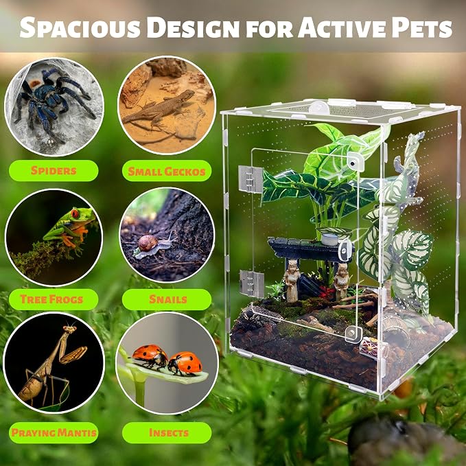Large Jumping Spider Enclosure, Acrylic Ventilated Terrarium with Magnetic Front and Top Doors, 8.5x8.5x12 Inch, Transparent, Lockable (Large Size)