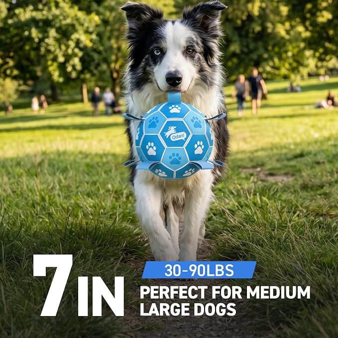 QDAN Dog Soccer Balls Toys : Premium Dog Soccer Ball with Straps, Outdoor Dog Toys, Pet Training Soccer for Medium Large (7 Inch)