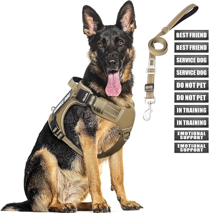 Tactical Dog Harness and Leash Set with 10 Patches for Large Dogs | Heavy Duty Adjustable No Pull Service Dog Vest for Large Dogs with Dog Seat Belt,for Training Walking Hiking Brown XL